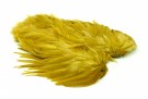 Golden Olive thumbnail