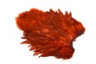 Fiery Brown thumbnail