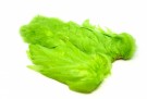 Insect Green thumbnail