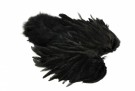 Black thumbnail