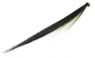 A.F. Sun Ray Shadow Green + Pearl thumbnail