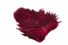 Claret thumbnail