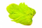 Fl. Green Chartreuse thumbnail