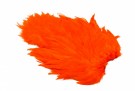 Orange thumbnail