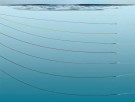 Salar Catch (Single Piece)   thumbnail