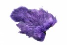 Purple thumbnail