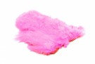Shell Pink thumbnail