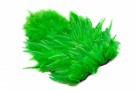 Highlander Green thumbnail