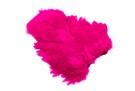 Magenta thumbnail