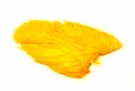 Golden Yellow thumbnail
