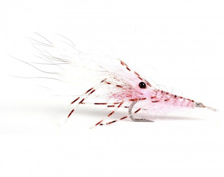 Leo Shrimp Pink #6
