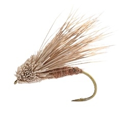 Streaking Caddis