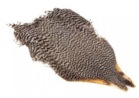 Keough Grizzly Saltwater #1 