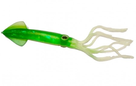 Green Pearl Squid 20 cm