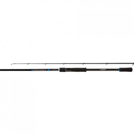 Shimano Bassterra 9' (7-30 gr) 2-pc