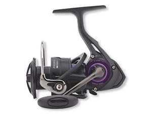 Daiwa Prorex LT 2500D