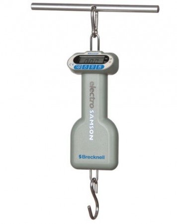 Salter ElectroSamson 25 kg