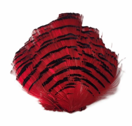 Golden Pheasant Tippet RED