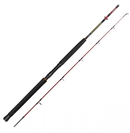 Daiwa Seahunter Spin (2-pc)