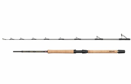Penn Regiment IV Pro Boat 7 20-30 lb