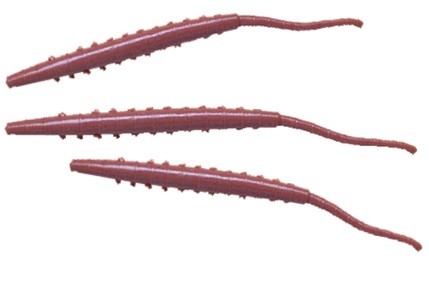 Gulp! Lugworm/arenicola 4