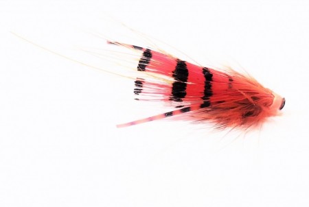 Micro G.P. Special 3 cm (Mikael Frödin)