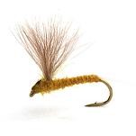 Runes CDC Nohackle Light Olive 16