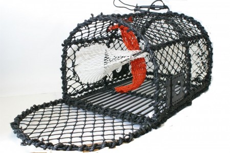 TEINE 6 kg (2018-modell) - med råtnetråd.