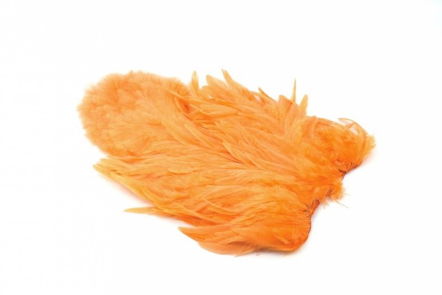 Shrimp Orange
