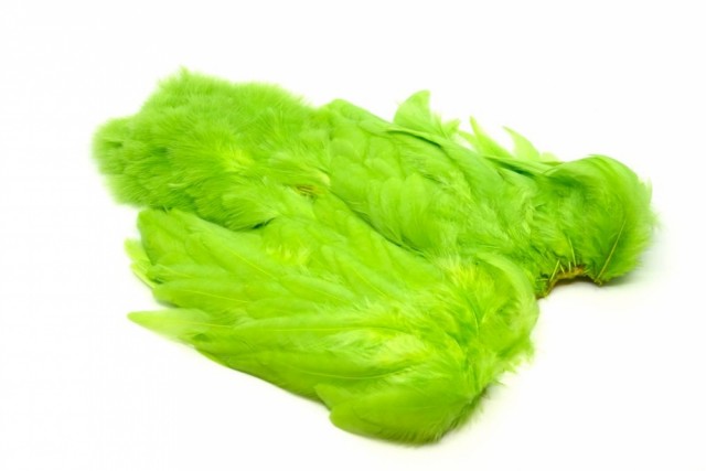 Insect Green
