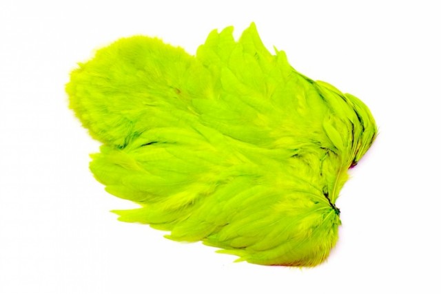 Fl. Green Chartreuse